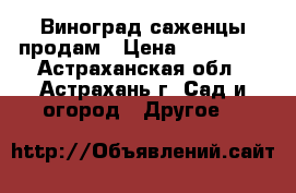 Виноград саженцы продам › Цена ­ 200-250 - Астраханская обл., Астрахань г. Сад и огород » Другое   